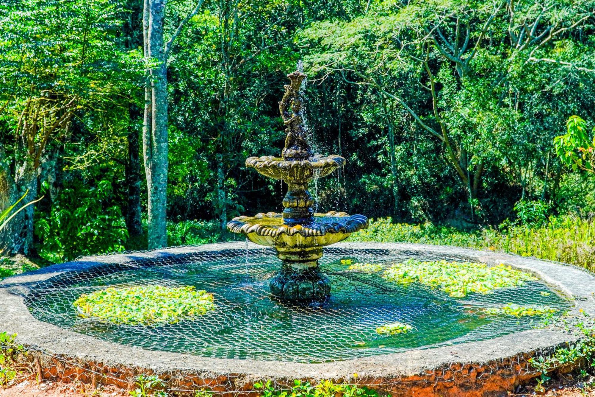 Pousada Highland Santo Antônio do Pinhal 外观 照片
