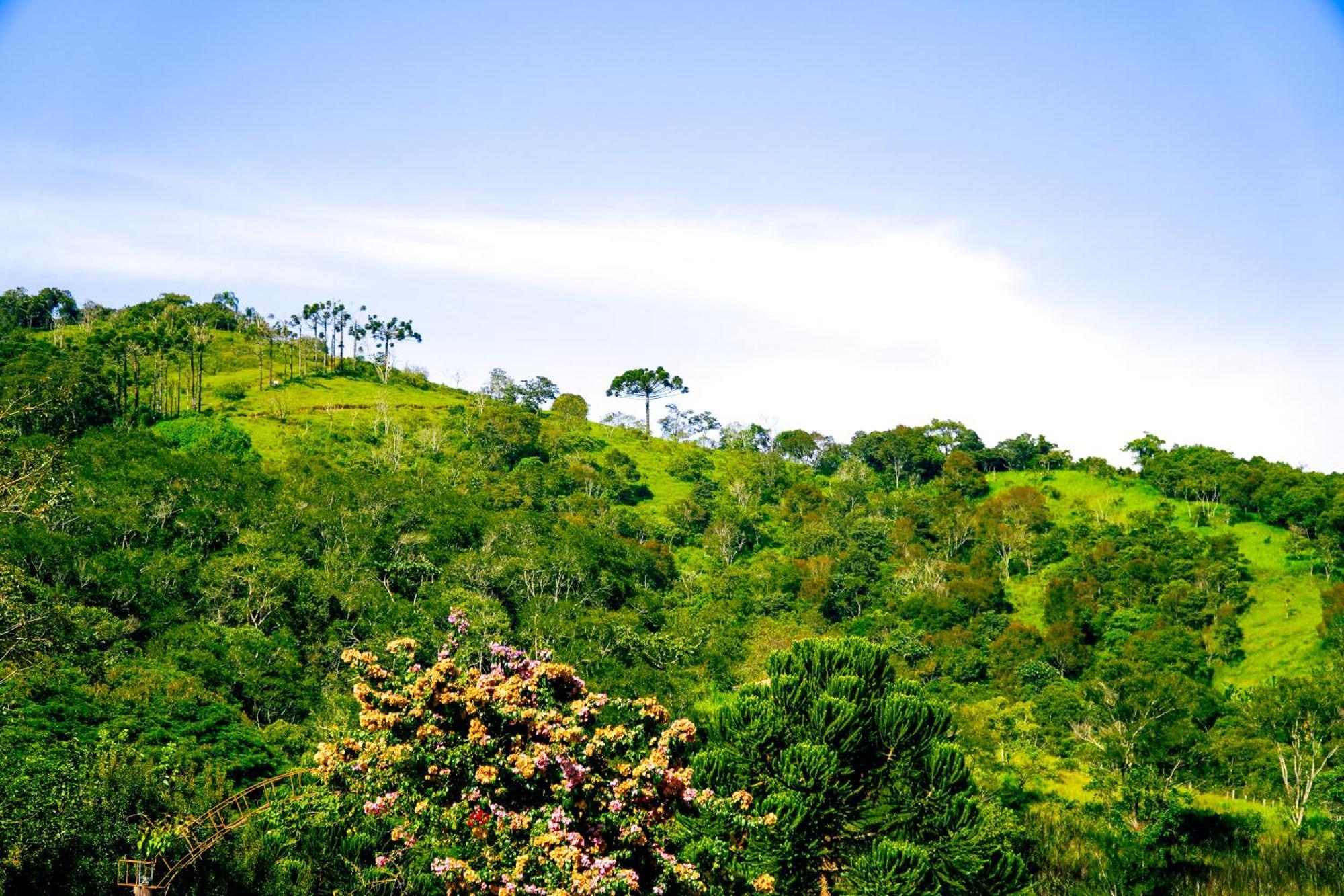 Pousada Highland Santo Antônio do Pinhal 外观 照片